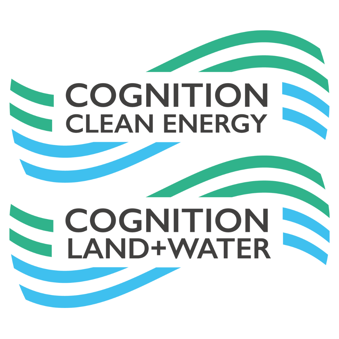 Unveiling the Brand-New Cognition Logo